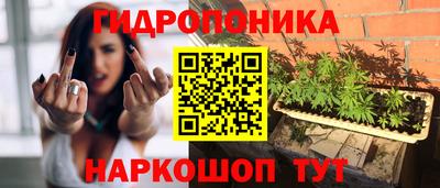 гидропоника Кулебаки